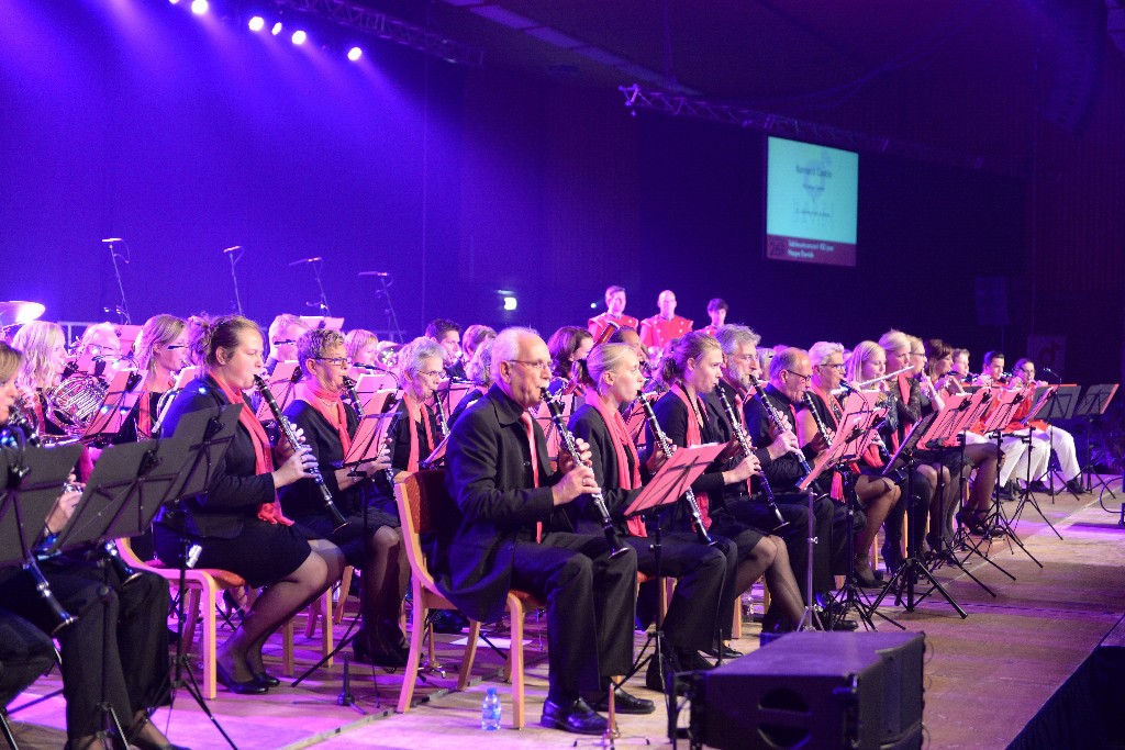 ../Images/Jubileumconcert 100 jaar Harpe Davids 043.jpg